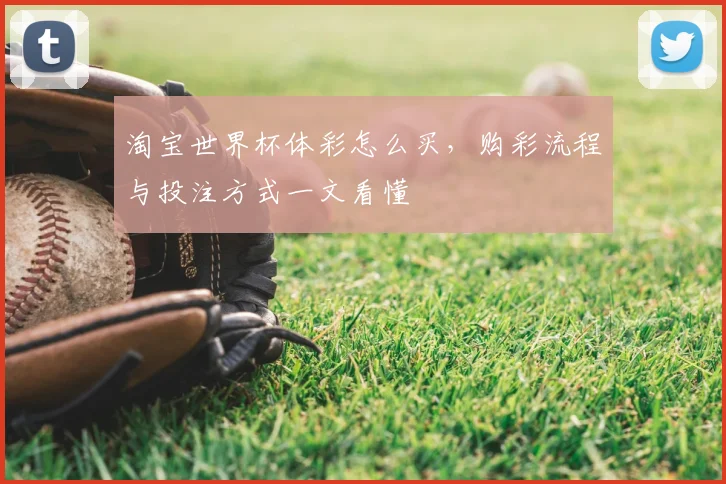 淘宝世界杯体彩怎么买，购彩流程与投注方式一文看懂